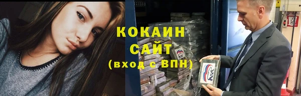 стафф Алзамай
