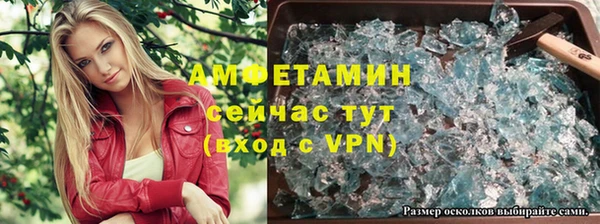 прущие грибы Алексин
