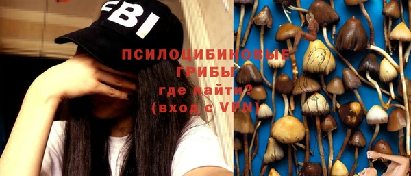 стафф Алзамай