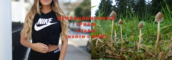 стафф Алзамай