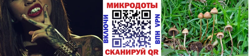 цена Бирюч Галлюциногенные грибы ЛСД